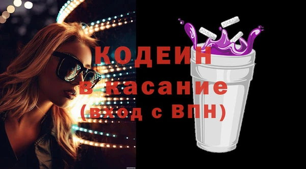 хмурый Алзамай