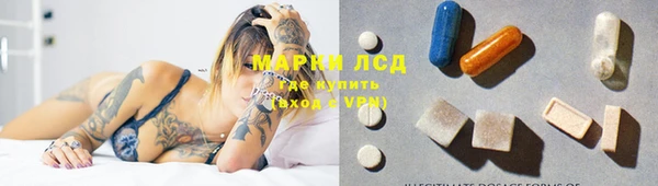 хмурый Алзамай