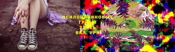 хмурый Алзамай