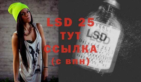 хмурый Алзамай