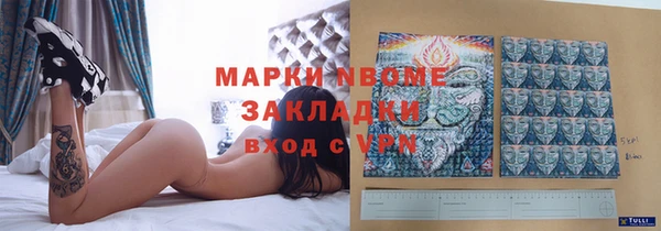 хмурый Алзамай