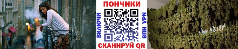 Бошки Шишки сатива мега рабочий сайт маркетплейс какой сайт Неман